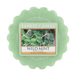 YANKEE CANDLE 1542821E VONNY VOSK WILD MINT